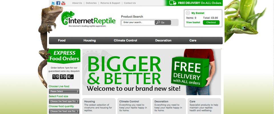 internet_reptile_branding_4