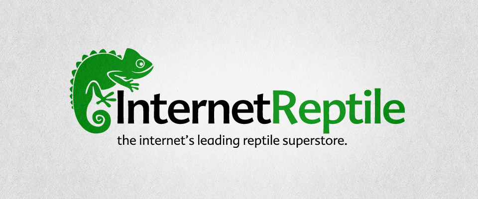 internet_reptile_branding_2