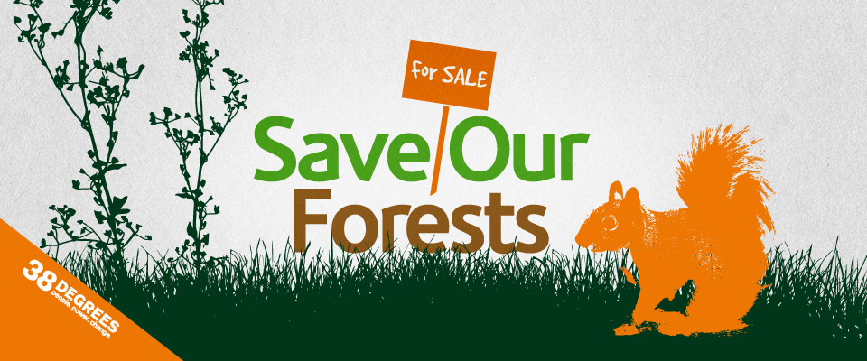 save_our_forests_print_6
